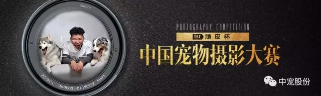 lewin乐玩官网-相信品牌力量