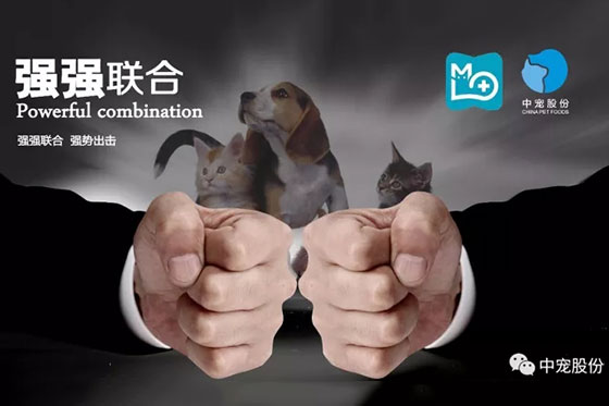 lewin乐玩官网-相信品牌力量