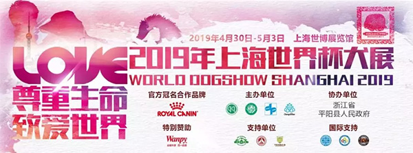 lewin乐玩官网-相信品牌力量