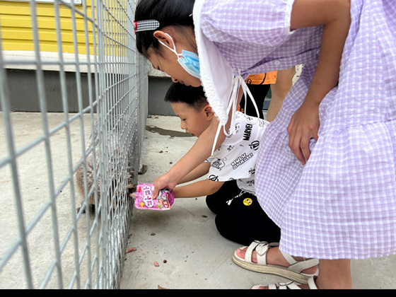 lewin乐玩官网-相信品牌力量
