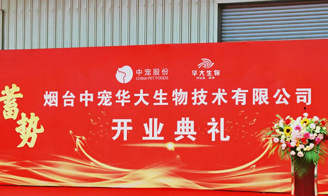 lewin乐玩官网-相信品牌力量