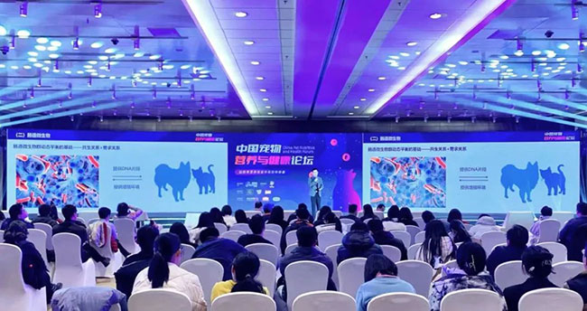 lewin乐玩官网-相信品牌力量