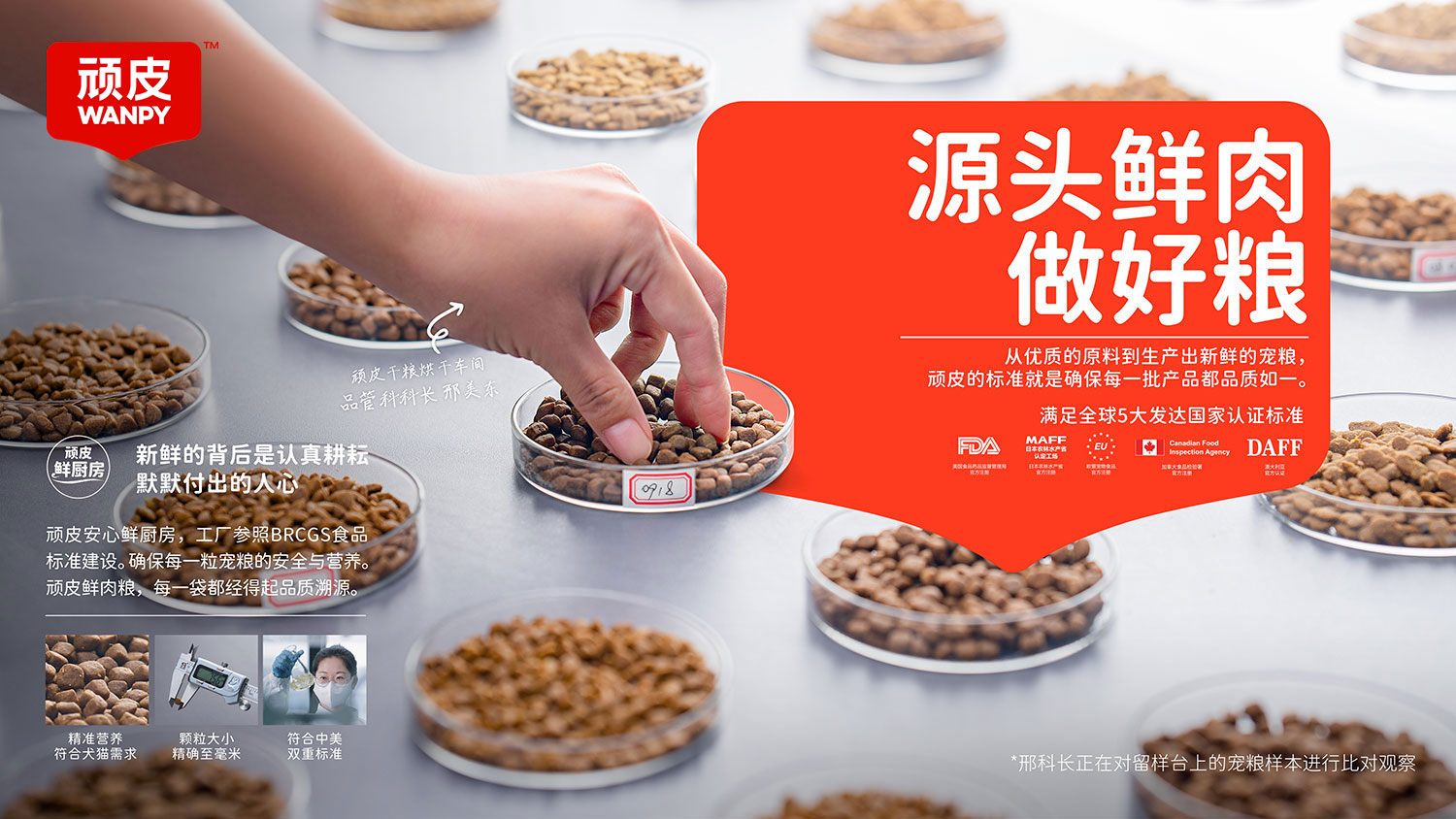 lewin乐玩官网-相信品牌力量